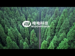 Введение компании